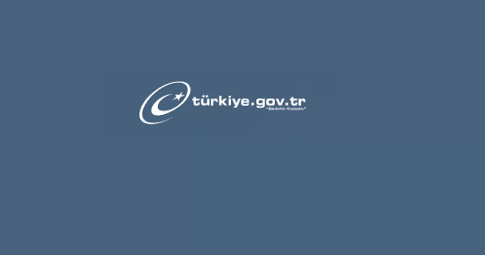 edevlet