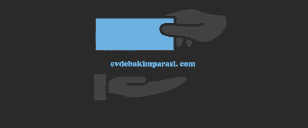 evdebakimmmasi